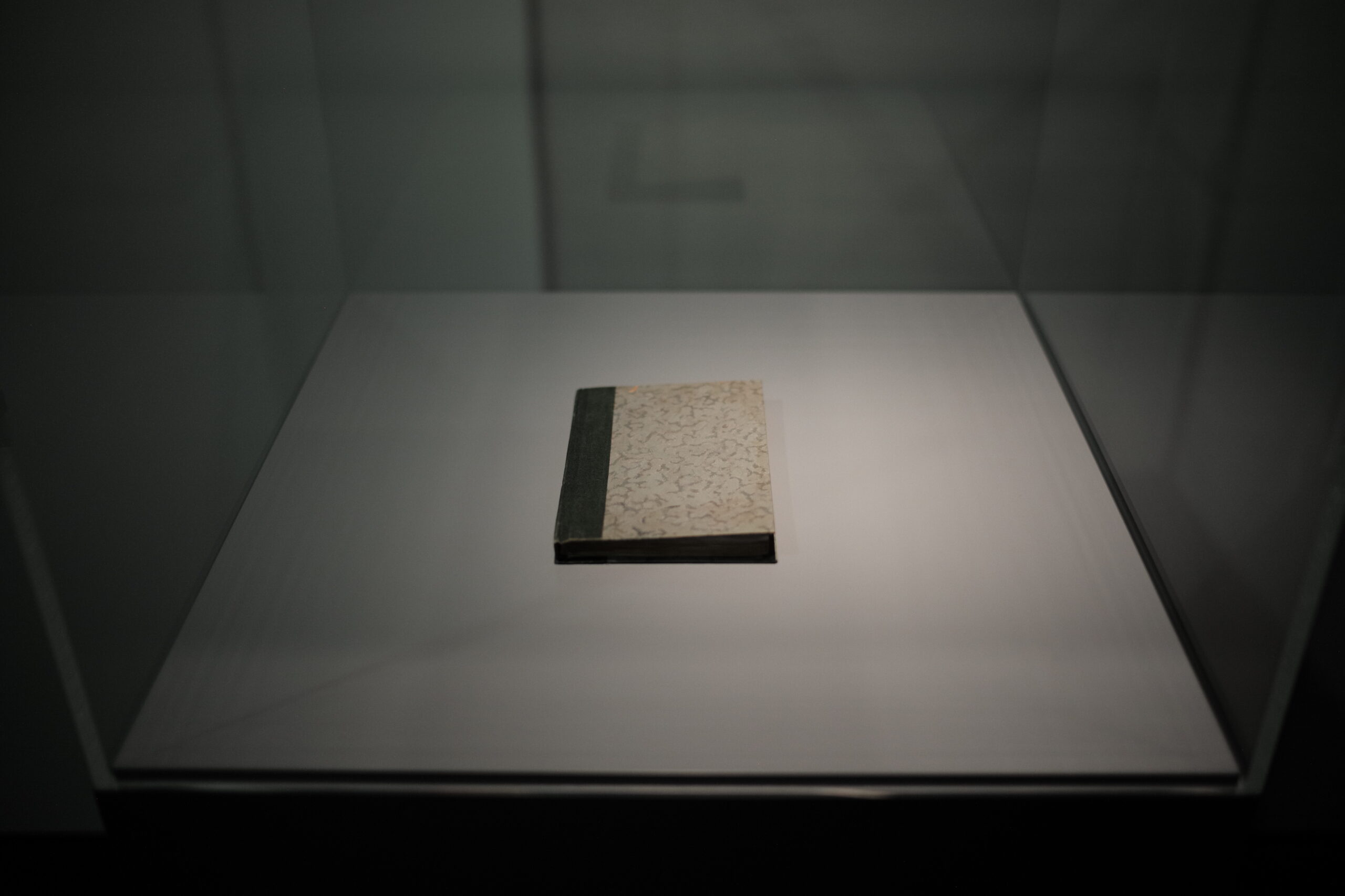 "In Prasat’s memoirs, the author describes his first impression of Hitler as ‘a German gentleman’, as opposed to public perception of Hitler as one whose 'voice is like the sound of a thunderbolt'."