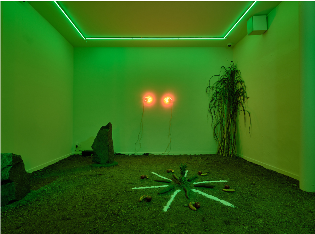 Installation view of Puppies Puppies (Jade Guanaro Kuriki-Olivo) solo exhibition "Indigenous Power (Ancestral Wisdom)" at Kim Association's new space. Image Courtesy of Art Outreach